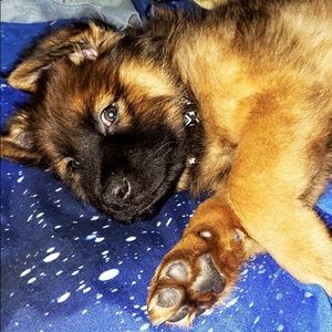 Meet your Posher, Katie